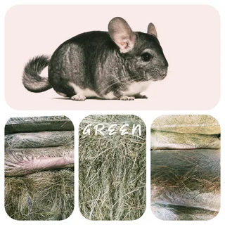 TOP Quality HAYS/QUICK Service/BEST Delivery!