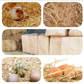 Premium PET Bedding -Various Sizes/Textures #Collect/Deliver!