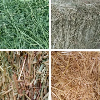 Quality Pet Hays/Pellets/Bedding/NaturalToys #We Deliver!