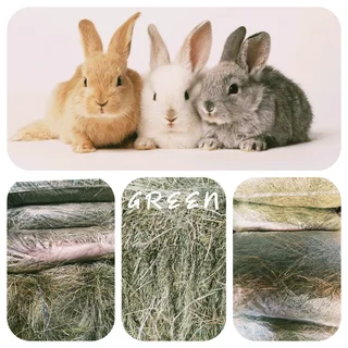 New2026HARVEST #PremiumHAYS/FEEDS, NaturalTOYS, SoftBEDDING!