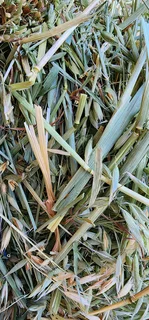 New2026HARVEST #PremiumHAYS/FEEDS, NaturalTOYS, SoftBEDDING!