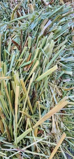 New2026HARVEST #PremiumHAYS/FEEDS, NaturalTOYS, SoftBEDDING!