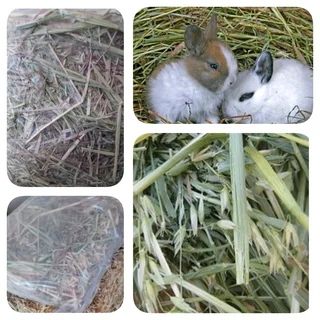 New2026HARVEST #PremiumHAYS/FEEDS, NaturalTOYS, SoftBEDDING!