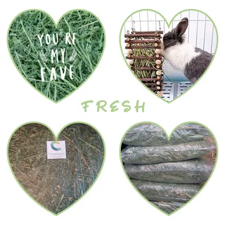 New2026HARVEST #PremiumHAYS/FEEDS, NaturalTOYS, SoftBEDDING!