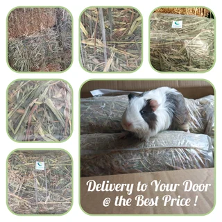 New2026HARVEST #PremiumHAYS/FEEDS, NaturalTOYS, SoftBEDDING!