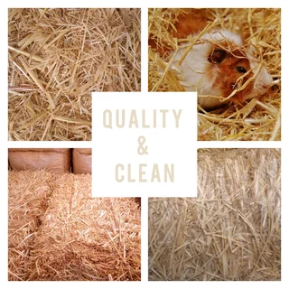 New2026HARVEST #PremiumHAYS/FEEDS, NaturalTOYS, SoftBEDDING!