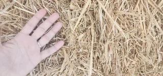 New2026HARVEST #PremiumHAYS/FEEDS, NaturalTOYS, SoftBEDDING!