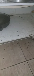 Pest control and disinfects services