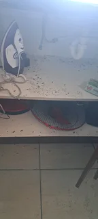 Pest control and disinfects services