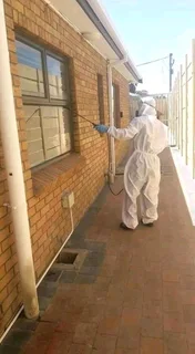 Pest control and disinfects services