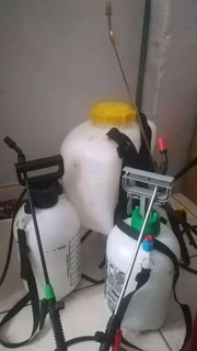 Pest control and disinfects services