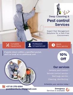 Disinfects services