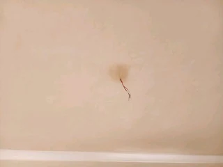 Building and renovations