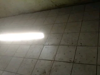 Service /building and trades