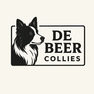 Merle/Tri Colour Border Collies