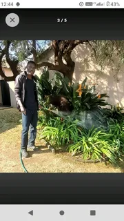 WELL EXPERIENCED GARDNER AVAILABLE