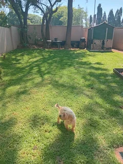 WELL EXPERIENCED GARDNER AVAILABLE