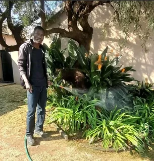 HARD WORKING AND RELIABLE GARDER AVAILABLE