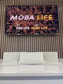 Apple Magic Mouse A1644 (24-Month Warranty)