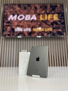 Ipad mini 5 256GB Wifi Grey (24-Month Warranty)