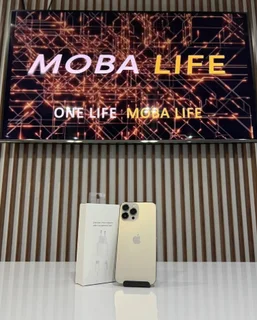 iPhone 13 Pro Max 256GB Gold (24-Month Warranty)