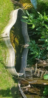 Concrete pond for sale