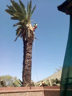 TREE FELLING &amp; RUBBLE REMOVALS