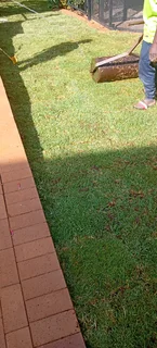 PROFESSIONAL TREE FELLING SERVICES