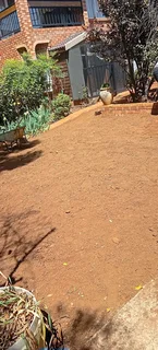 ALL TYPES OF INSTANT LAWNS