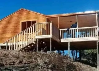 Elephant wendys Oscar on 0781458956