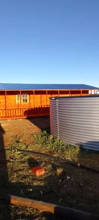 Elephant wendys Oscar 0781458956