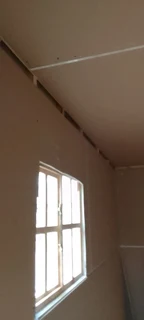 Elephant wendys Oscar 0781458956