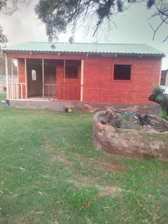 Elephant wendys Oscar 0781458956