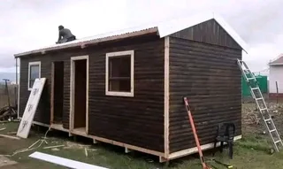 Elephant wendys Oscar 0781458956