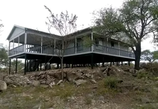 Elephant wendys Oscar 0781458956