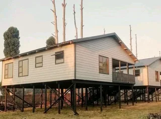 Elephant wendys Oscar 0781458956