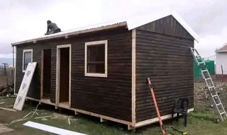 Elephant wendys Oscar 0781458956