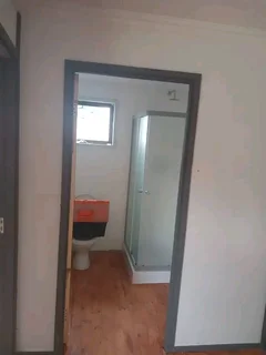 Elephant wendys Oscar 0781458956