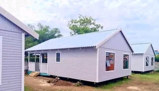 Elephant wendys Oscar 0781458956