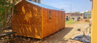 Elephant wendys Oscar 0781458956