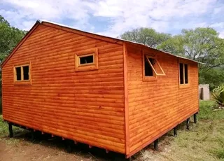 Elephant wendys Oscar 0781458956