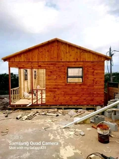 Elephant wendys Oscar 0781458956