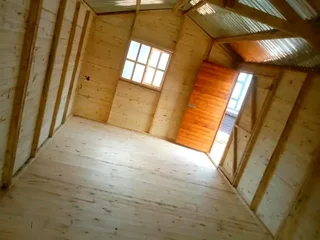 Elephant wendys Oscar 0781458956