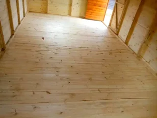 Elephant wendys Oscar 0781458956