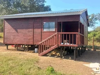 Elephant wendys 0781458956