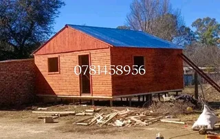 Elephant wendys Oscar 0781458956