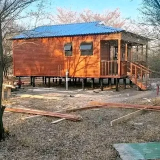 Elephant wendys Oscar 0781458956