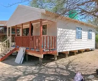 Elephant wendys Oscar 0781458956