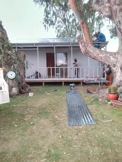 Elephant wendys Oscar 0781458956