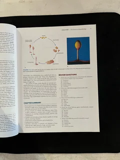 Jawetz, Melnick &amp; Adelberg&#39;s Medical Microbiology (28th Edition)